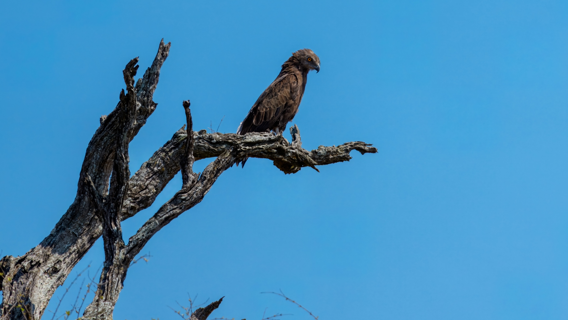 Kruger25 2025 10 29 09 40 00 ILCE 1M2 70